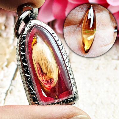 Crystal Protect Safty Stone Healing Naga Eye Leklai Claw Orange Thai Amulet 0143