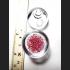 Sarira Relic Stone Holy Sacred Bead Stupa Lucky Red Pink Love Thai Amulet #0183