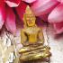 Leklai Naga Eye Healing Stone Buddha Yellow Lucky Gambling Win Thai Amulet #1822