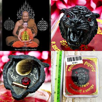 Magic Tiger Hair Face Protection Fortune Pern Watbangpha Be2554 Thai Amulet 2151