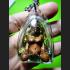 THAI REAL AMULET CHARMING LOVE EPER LADY NUDE 2 SIDE FACE KUBA INPLANG OIL