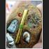 THAI REAL AMULET DRAWING BUTTERFLY LADY OF CHARMING BONE PIECE LP BOONDEJ 7226