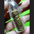 YINT TAKUD SEX POSSITION LUCKY CHARMING LOVE ATTRACT WEALTH THAI AMULET LP INTPLANG