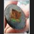 LERSRI HERMIT TEACHING WORLD TIGER SKIN HAIR HEALING PREVENT DISEASE ANTI SICKNESS THAI AMULET LP EING BE2553 AC AMNAJ X 7493