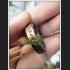 LERSRI HERMIT TEACHING WORLD TIGER SKIN HAIR HEALING PREVENT DISEASE ANTI SICKNESS THAI AMULET LP EING BE2553 AC AMNAJ X 7493