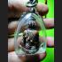 LERSRI HERMIT 9FACE MEDITATION HEALING PREVENT DISEASE ANTI SICK LESS THAI AMULET LP LOON