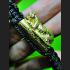 Bracelet Magic Lucky Protect Business Wealth Pern Takrut Tiger Thai Amulet #8001