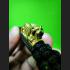 Bracelet Magic Lucky Protect Business Wealth Pern Takrut Tiger Thai Amulet #8001