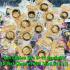 Holy Bronze Ring Lp Chang Charm Power Catch Lucky Size12 Copper Thai Amulet 8051