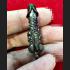 AMULET THAI TALISMAN REAL PALADKIK ELEPHANT PENIS PENDANT LP CHANG BLACK