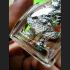 WESSUWAN GUARDIEN GHOST SLAYER AMULET THAI PROTECTION KILLED NIGHTMARE UPP 8196