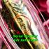 Charming Love Attract Scorpion Paladkik Penis Kb Dhama Copper Thai Amulet #8367