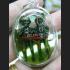 LOKOK DOUBLE TWIN GHOST SPIRIT AMULET THAI REA, IN LUCKY OIL KUBA DHAMA 8543
