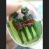 LOKOK DOUBLE TWIN GHOST SPIRIT AMULET THAI REA, IN LUCKY OIL KUBA DHAMA 8543