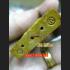 REAL THAI AMULET 9 SPIRIT CHARM GROUP SEX LP GOY 8665