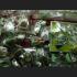 PURE SILVER 96.5 FRAME CASE FIT TO THAI AMULET HAND PAINTING 8681