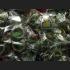 PURE SILVER 96.5 FRAME CASE FIT TO THAI AMULET HAND PAINTING 8681