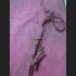 FABRIC FLAG THAI AMULET MAGIC HOLY CLOTH ANCIENT WARRIOR SUIT SHIRT LP DERM FOOT 8932