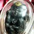 Gambling Win Windfall Luck Lokok Guman Baby Fetus Lp Mug Be2550 Thai Amulet 9026