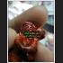 YINT TRUE LOVER HUG KISS SOULMATE SEX THAI AMULET HOLY YINT FASCINATE SPELL LP GOY CLAY 9071