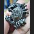 REAL BRONZE THAI AMULET HOLY CRAB CATCH MONEY FAST RICH LUCK LP MUG 2007