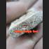 LOVE ATTRACT KHUN-PAEN CHARMING LEKLAI THAI AMULET LP KEY BEHIND YINT BE2551 BLACK WHITE MEAT 9199
