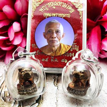 Payamoo Pig Rich Money Wealth Change Future Lucky Sakorn Be2541 Thai Amulet 9250