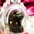 Payamoo Pig Rich Money Wealth Change Future Lucky Sakorn Be2541 Thai Amulet 9250