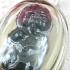 Guman Boy Spirit Money Rich Lucky Oil Gambling Lotto Win Lp Nen Thai Amulet 9255