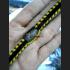 REAL THAI AMULET HOLY TAKUD BRACELET RICH LP KEY