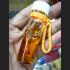 OIL NAMMANPLAI TWIN BOY WOODEN ASHES GAMBLING RICH THAI AMULET LP KEY BE2551