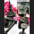 Large Palak Charming Magic Face God Attraction Mercy Lp Kalong Thai Amulet #9514
