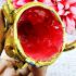 Lersri Gold Mask Head Khon Fortune Healing Well Pern Watbangpha Thai Amulet 9526