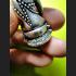 REAL THAI AMULET PHA-KRING BELL OLD SILVER RICH MOEY ATTRACT LUCKY LP KEY