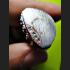 Miniature Bell Buddha Alpacca Rich Money Lucky Key Be2549 Kring Thai Amulet 9566
