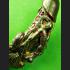 Paladkik Penis Love Lust Attraction Mind Lady Bemoan Orgasm Key Thai Amulet 9586