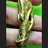 Paladkik Penis Love Lust Attraction Mind Lady Bemoan Orgasm Key Thai Amulet 9586