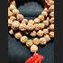 NATURAL DRY SEED 108 BEAD SACRED MEDITATION CHAIN AMULET THAI REAL LP PERN
