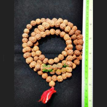 NATURAL DRY SEED 108 BEAD SACRED MEDITATION CHAIN AMULET THAI REAL LP PERN