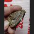 MONK CARRY HEAD PHAPIRAB VINTAGE MEDAL TALISMAN NAWA YELLOW MAGIC COIN LP KALONG BE2551 THAI AMULET