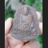 REAL THAI AMULET TALISMAN OLD CLAY MOLD FIRE MEDAL COIN HERMIT HEAD LP KALONG