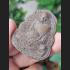 REAL THAI AMULET TALISMAN OLD CLAY MOLD FIRE MEDAL COIN HERMIT HEAD LP KALONG
