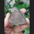 REAL THAI AMULET TALISMAN OLD CLAY MOLD FIRE MEDAL COIN HERMIT HEAD LP KALONG