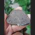 REAL THAI AMULET TALISMAN OLD CLAY MOLD FIRE MEDAL COIN HERMIT HEAD LP KALONG