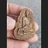 REAL THAI AMULET TALISMAN NAWA KHMER 1000 YEARS COIN LP KALONG 2009