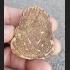 REAL THAI AMULET TALISMAN NAWA KHMER 1000 YEARS COIN LP KALONG 2009