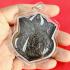 THAI AMULET HOLY COIN PAYAK 5 TIGER LP KALONG PENDANT NAWA