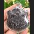 THAI AMULET HOLY COIN PAYAK 5 TIGER LP KALONG PENDANT NAWA