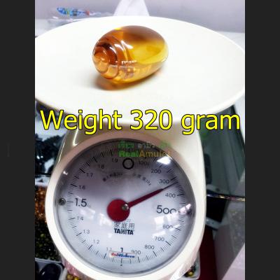 JUMBO LARGE NAGA EYE HEALING LUCKY RIVER CAVE THAI AMULET GEM STONE LEKLAI CRYSTAL DEITY BLESSED SHELL SHAPE ORANGE