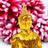 Home Decor Seated Buddha Statue Figurine Peaceful Magic Amber Thai Amulet #5408